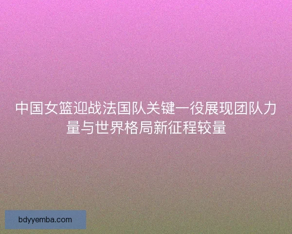 中国女篮迎战法国队关键一役展现团队力量与世界格局新征程较量